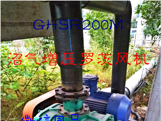 罗茨风机